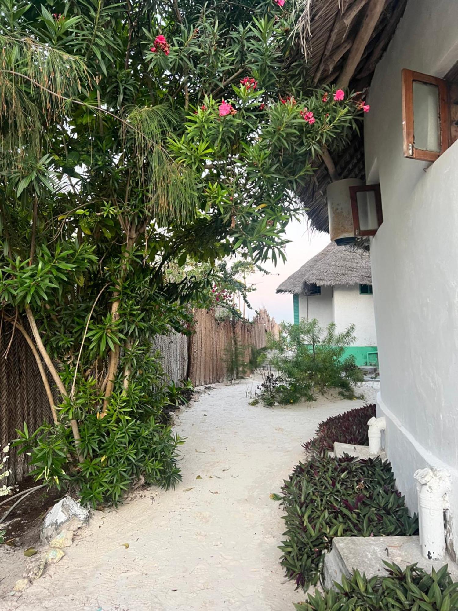 Duara Beach House Hotell Paje Eksteriør bilde